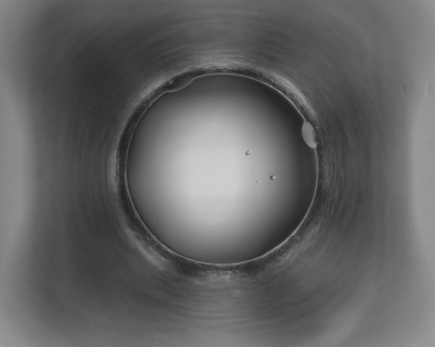 X0000113120439200909041309