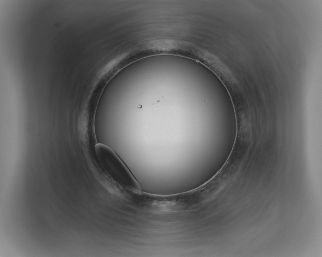 X0000113120440200909041309