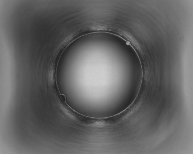 X0000113120441200909041309