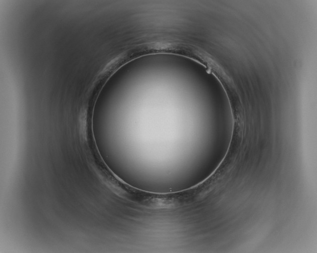 X0000113120442200909041309