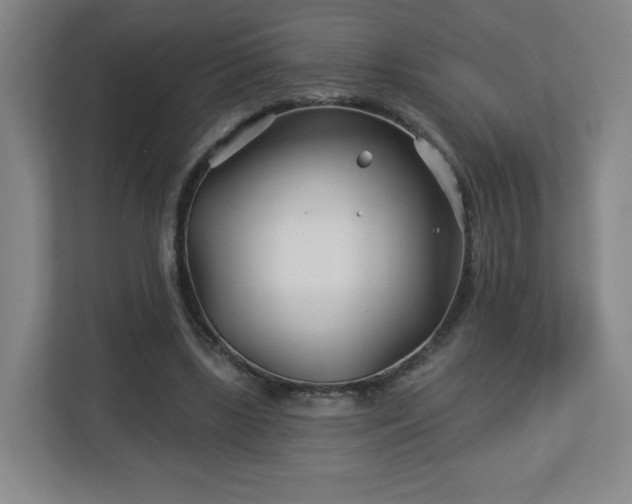 X0000113120443200909041309