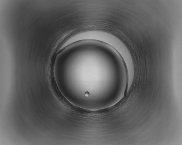 X0000113120444200909041309