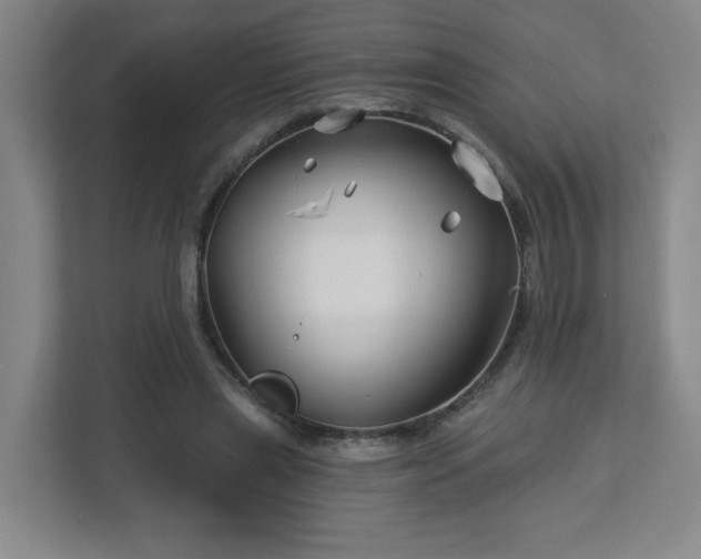 X0000113120445200909041309