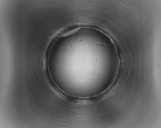 X0000113120446200909041309