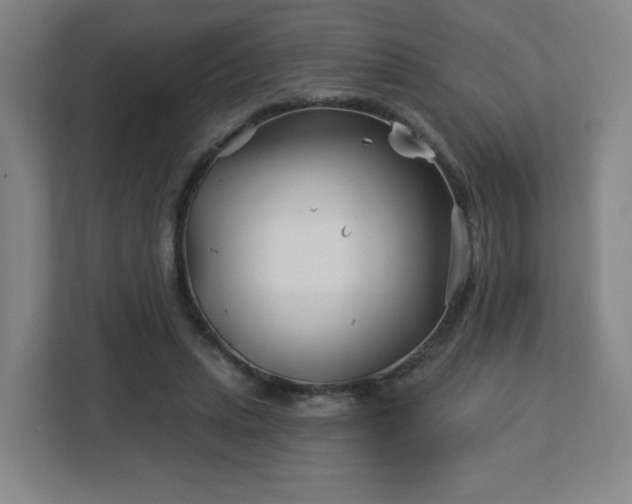 X0000113120447200909041309