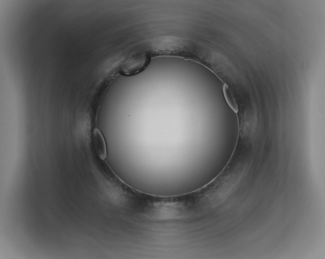 X0000113120448200909041309