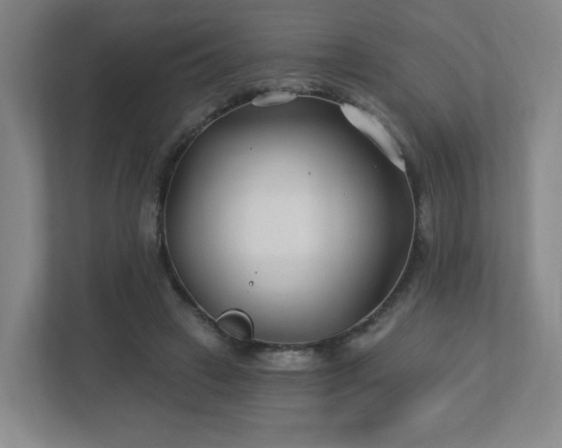 X0000113120449200909041309