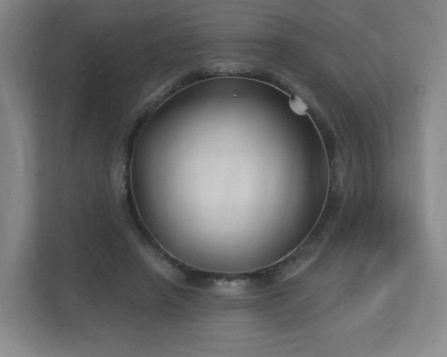 X0000113120450200909041309