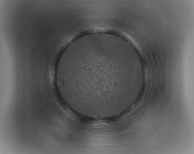 X0000113120451200909041309