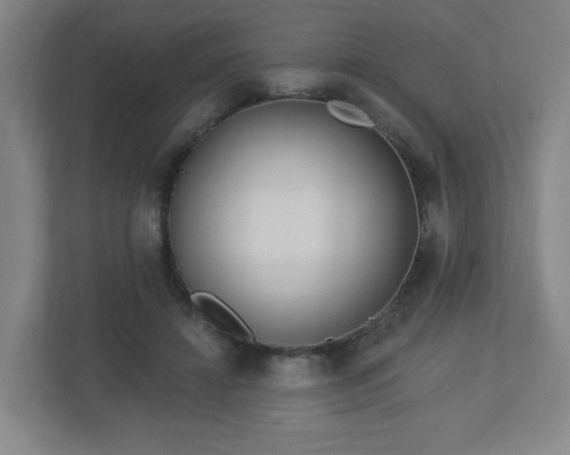 X0000113120452200909041309