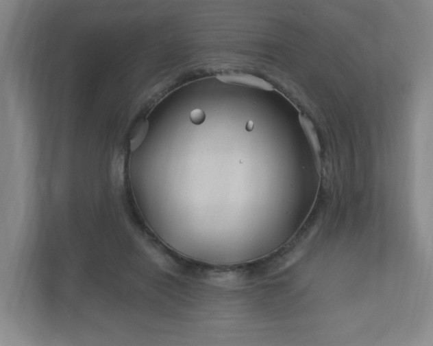 X0000113120454200909041309