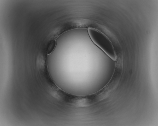 X0000113120456200909041309