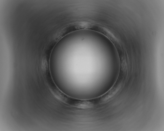 X0000113120459200909041309