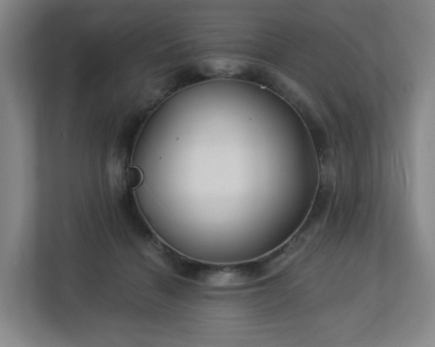 X0000113120460200909041309