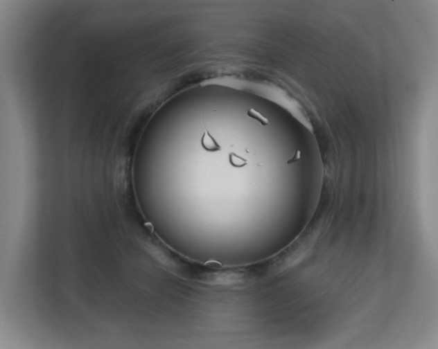 X0000113120462200909041309