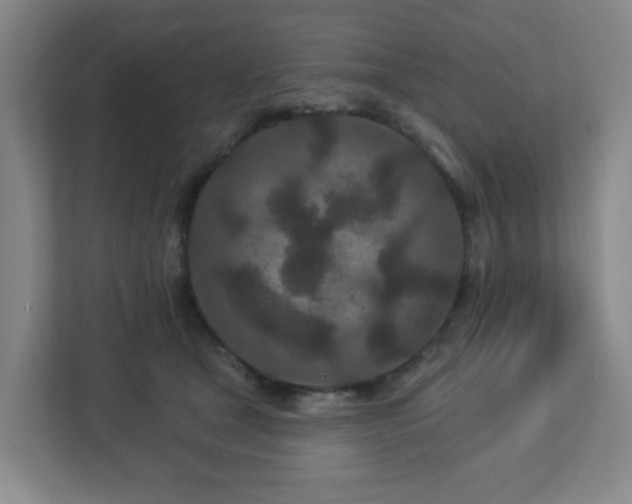 X0000113120465200909041309