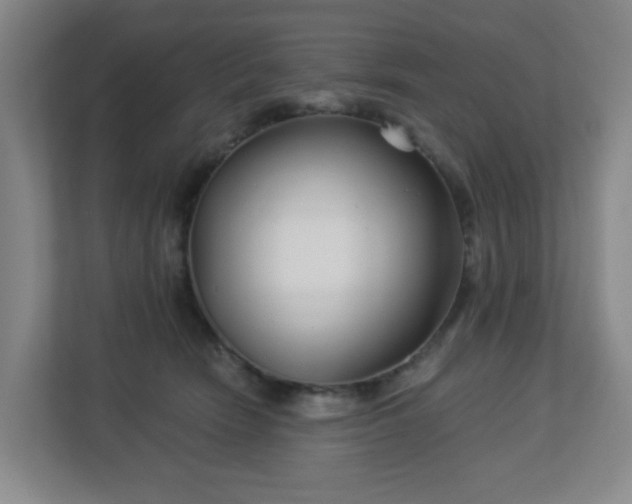 X0000113120466200909041309