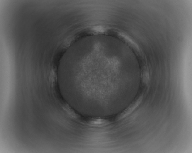 X0000113120467200909041309