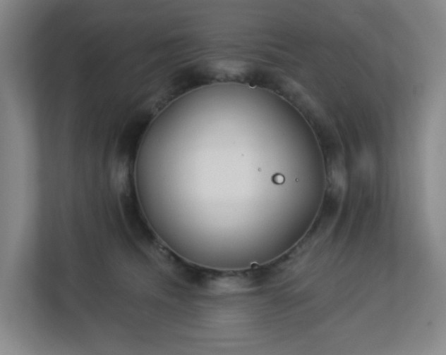 X0000113120468200909041309