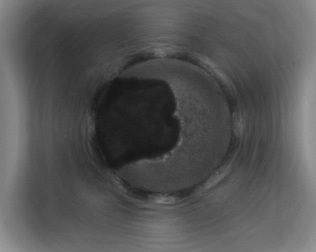 X0000113120471200909041309