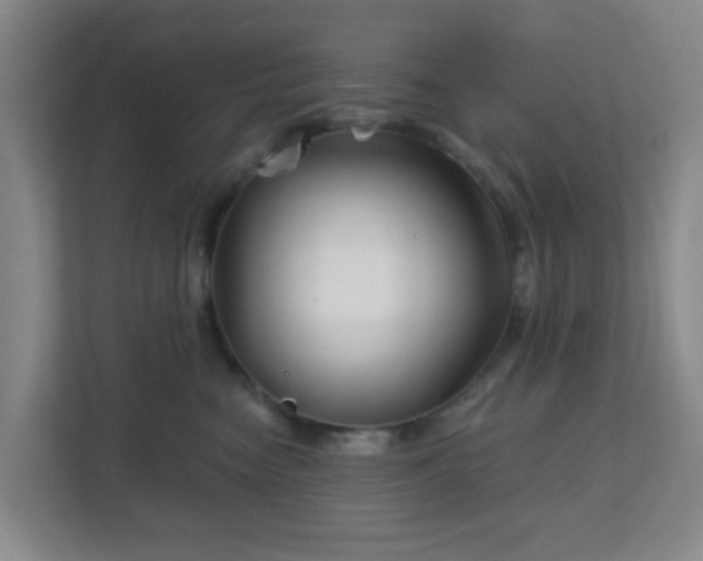 X0000113120474200909041309