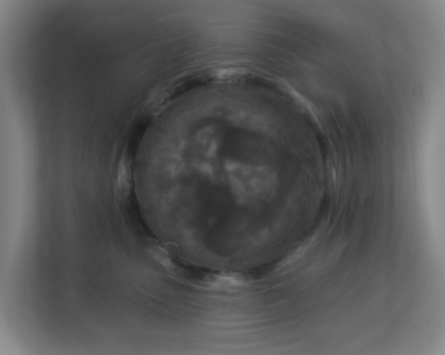 X0000113120475200909041309