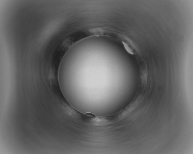 X0000113120477200909041309