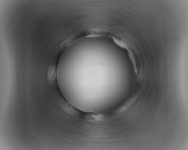 X0000113120478200909041309