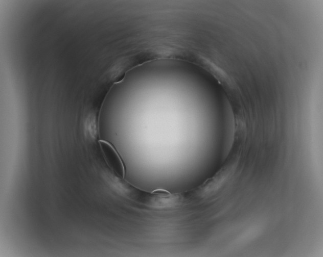 X0000113120479200909041309