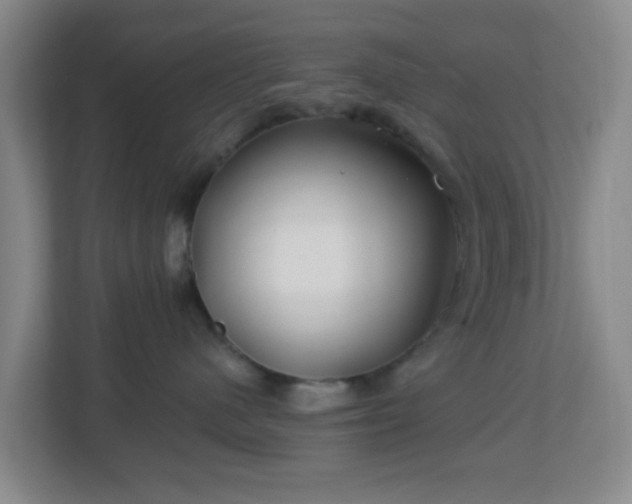 X0000113120480200909041309