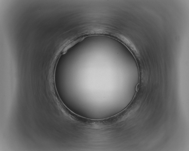 X0000113120481200909041309