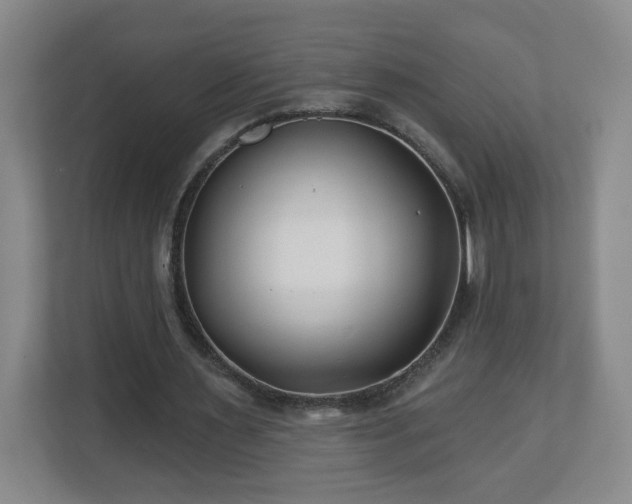 X0000113120483200909041309