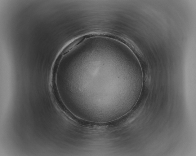 X0000113120484200909041309