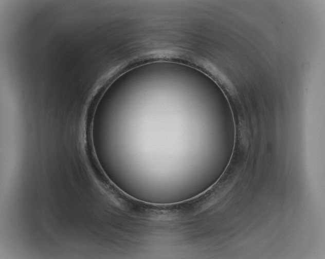 X0000113120486200909041309