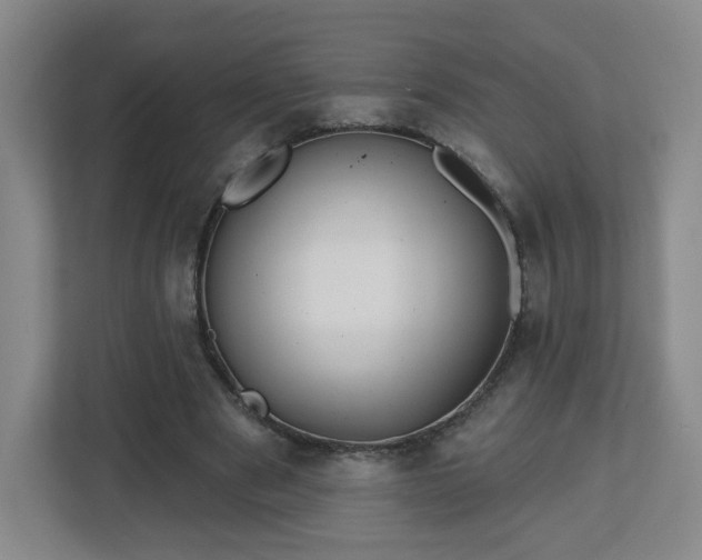 X0000113120489200909041309