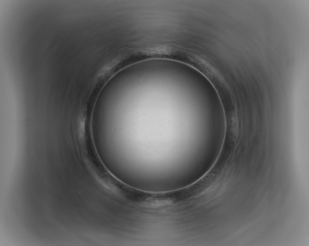 X0000113120491200909041309