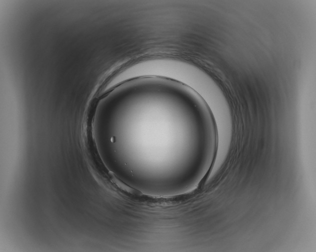 X0000113120492200909041309