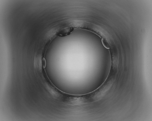 X0000113120493200909041309