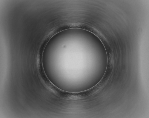 X0000113120494200909041309