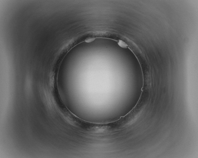 X0000113120495200909041309