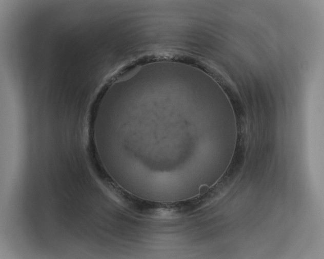 X0000113120496200909041309