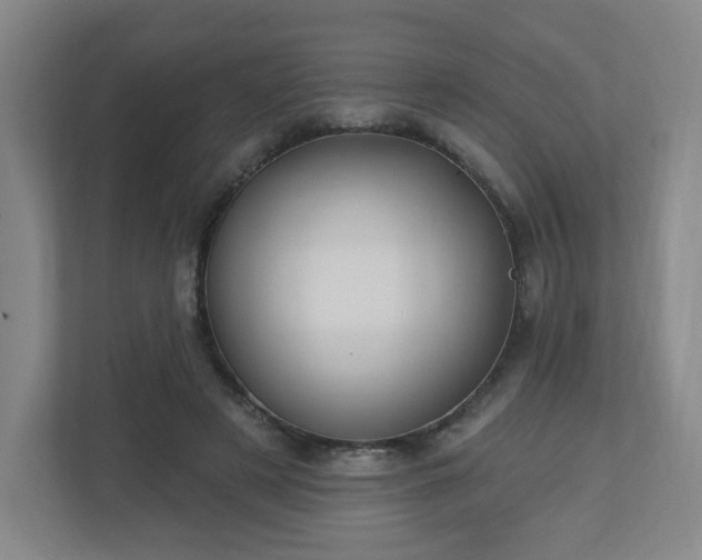 X0000113120497200909041309