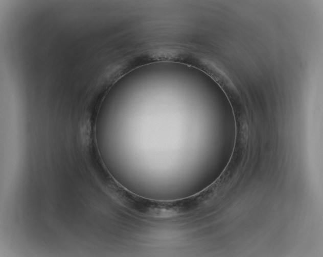 X0000113120498200909041309