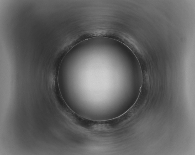 X0000113120499200909041309