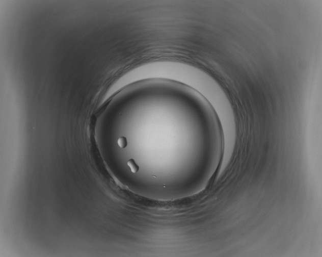 X0000113120500200909041309