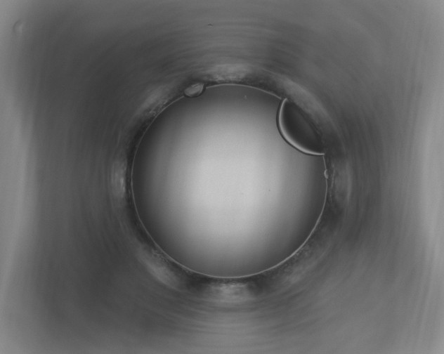 X0000113120501200909041309