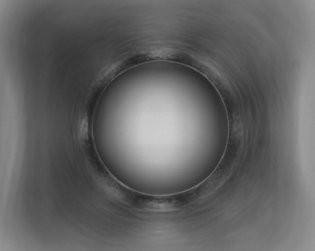 X0000113120502200909041309