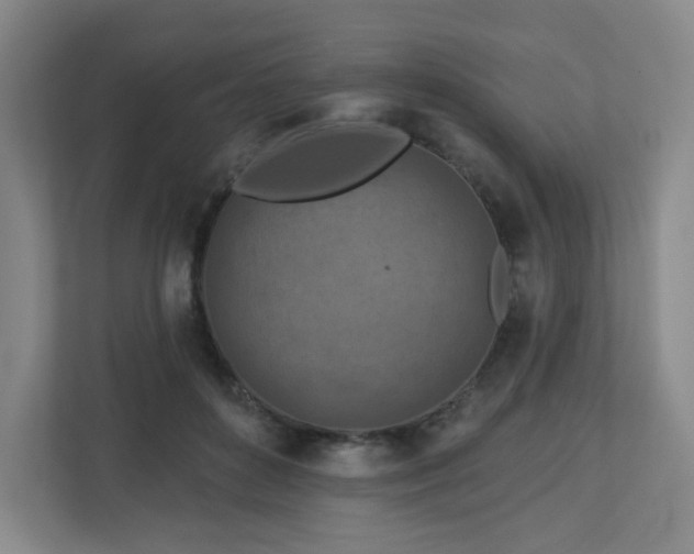 X0000113120504200909041309