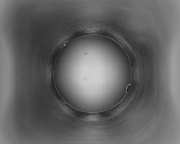 X0000113120505200909041309