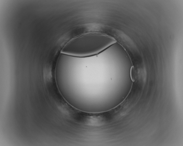 X0000113120508200909041309